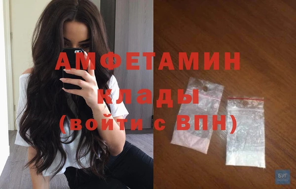 крисы Осинники