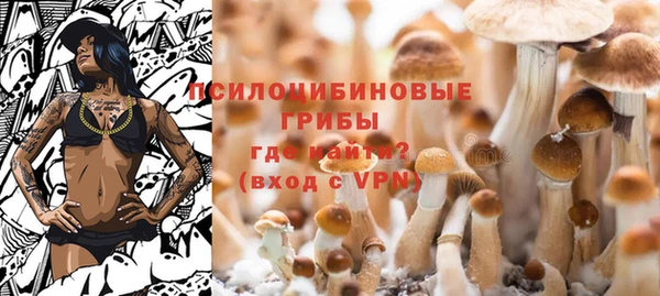 ECSTASY Алексеевка