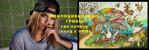 первитин Алексин