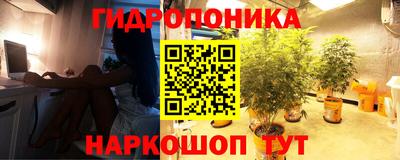 spice Волжский