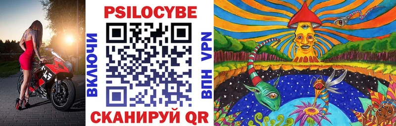 Псилоцибиновые грибы Cubensis Кропоткин