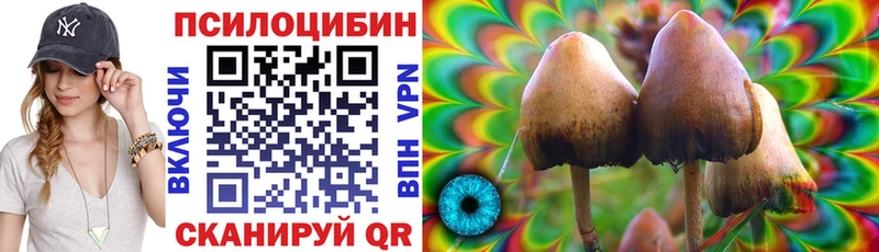Псилоцибиновые грибы Psilocybe  MEGA маркетплейс  Кропоткин  что такое  