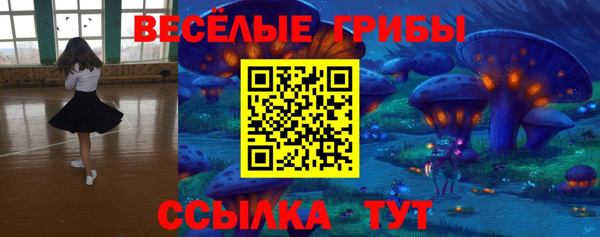 Псилоцибиновые грибы прущие грибы Кропоткин